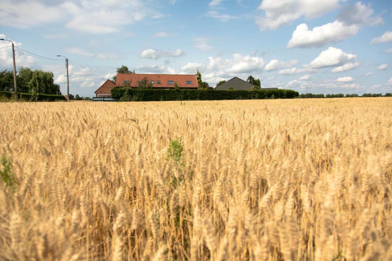 Gites De La Vesee La Chapelle d'Armentieres Zewnętrze zdjęcie